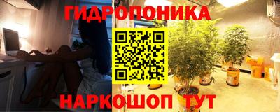 круглые Камышлов